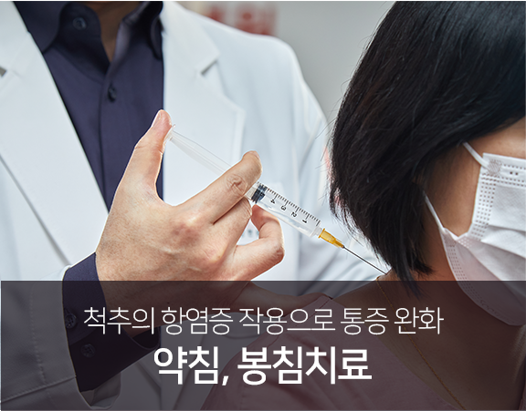 디스크-주변의-항염증-작용으로-통증-완화-약침,봉침-치료