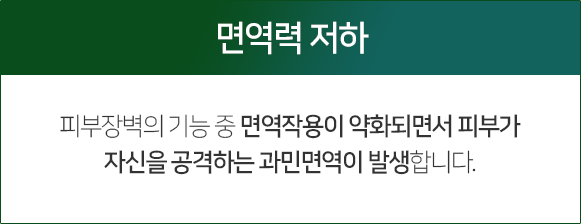 면역력-저하-피부-장벽의-기능-중-면역작용이-약화되면서-피부가-자신을-공격하는-과민-면역이-발생합니다