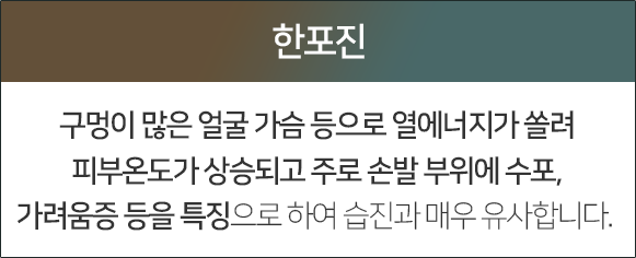 한포진-구멍이-많은-얼굴-가슴-등으로-열에너지가-쏠려-피부온도가-상승되고-주로-손발-부위에-수포-가려움증-등을-특징으로-하여-습진과-매우-유사합니다
